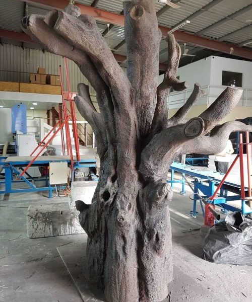 WhatsApp Image 2026-02-04 at 3.09.34 PM (1)